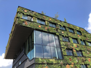 Guide to Make Your Commercial Facility Sustainable