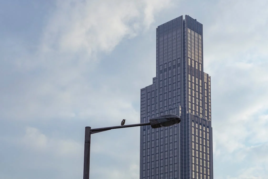  A skyscraper